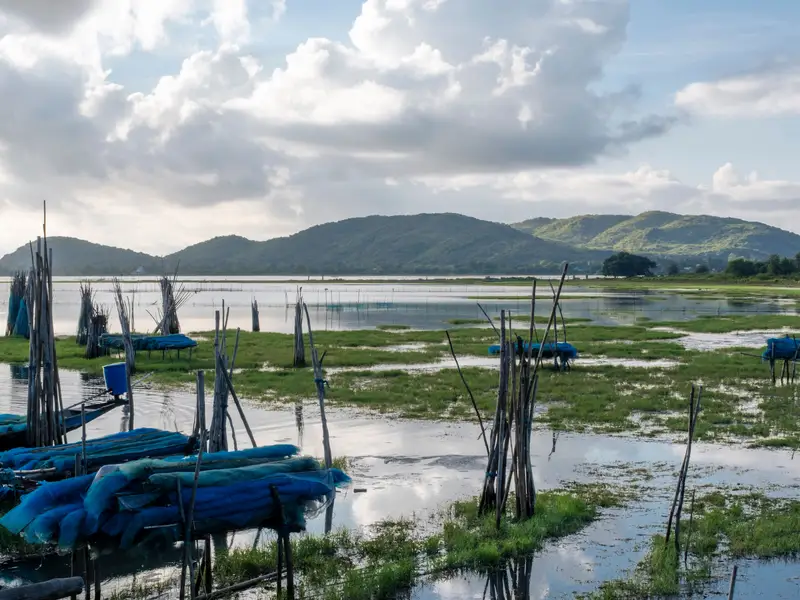 Bhubaneswar Puri Konark Chilika Lake 3 nights 4 days tour package, Odisha